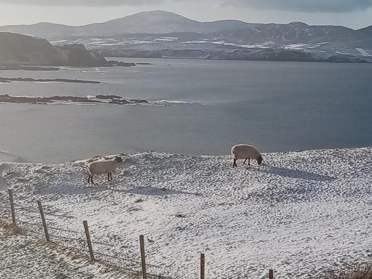 B&B The Red Door Cottage Donegal Town Екстериор снимка