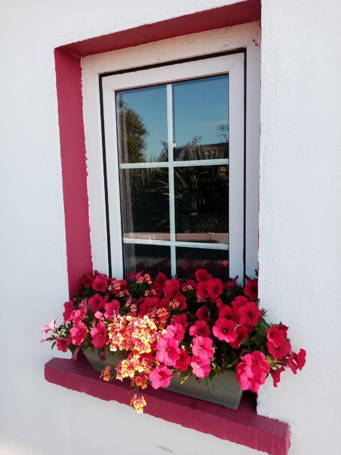 B&B The Red Door Cottage Donegal Town Екстериор снимка