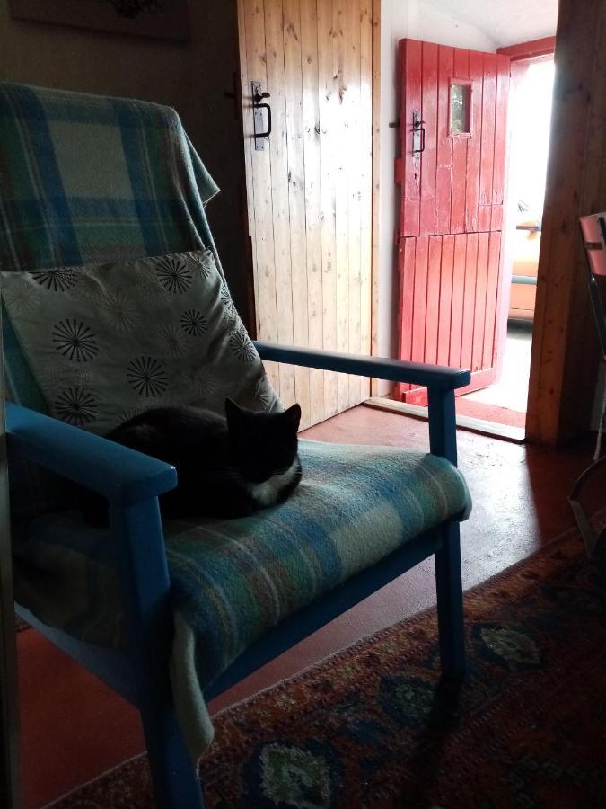 B&B The Red Door Cottage Donegal Town Екстериор снимка