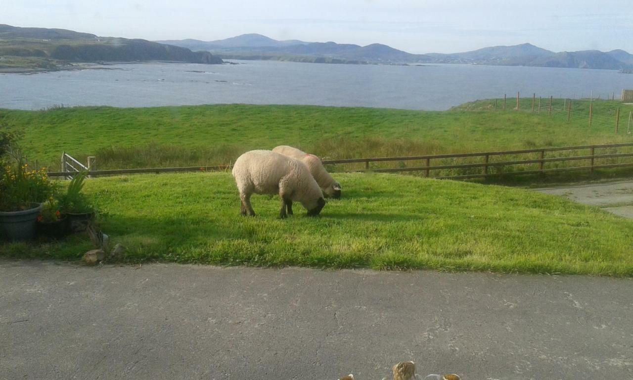 B&B The Red Door Cottage Donegal Town Екстериор снимка